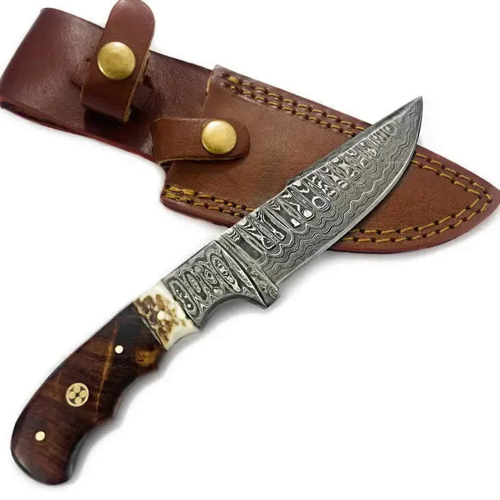 Walnut & Stag Horn Handle Hunting Knife Titan International