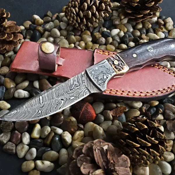 Walnut & Stag Horn Handle Hunting Knife Titan International